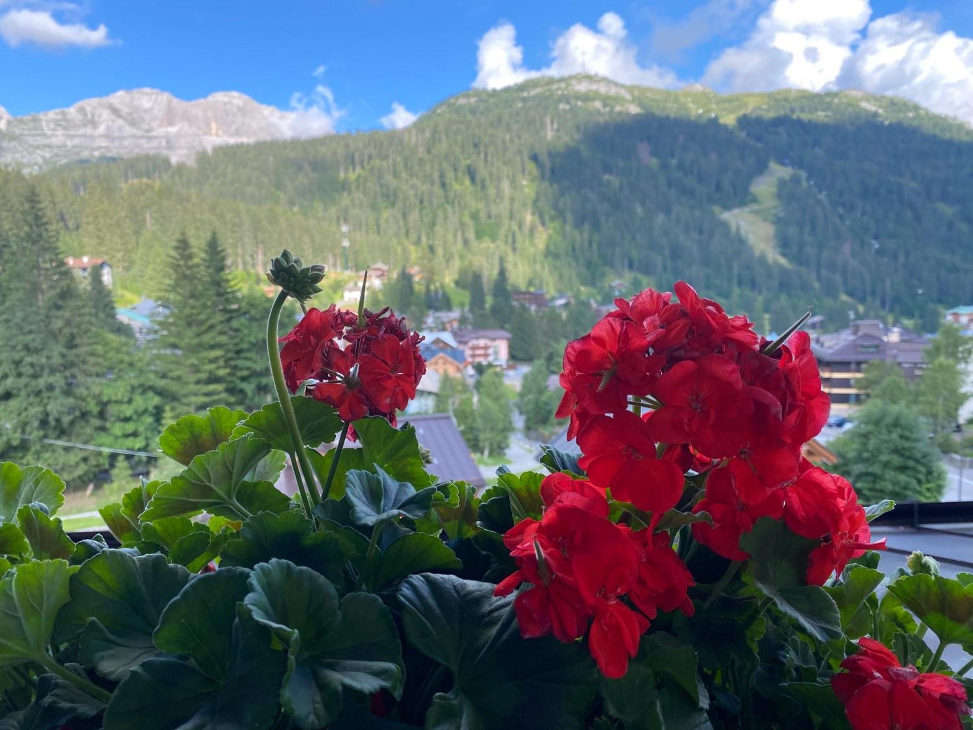 Hotel Dahu Madonna Kültér fotó